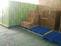 貨物倉儲墊倉板 聯(lián)鎖式倉庫托盤墊板 鎖扣式倉庫墊倉板 大面整體鋪設